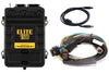 Haltech Elite 1500 + Basic Universal Wire-in Harness Kit Length: 2.5m (8')