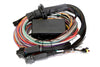 Haltech Elite 2500 + Premium Universal Wire-in Harness Kit Length: 2.5m (8')